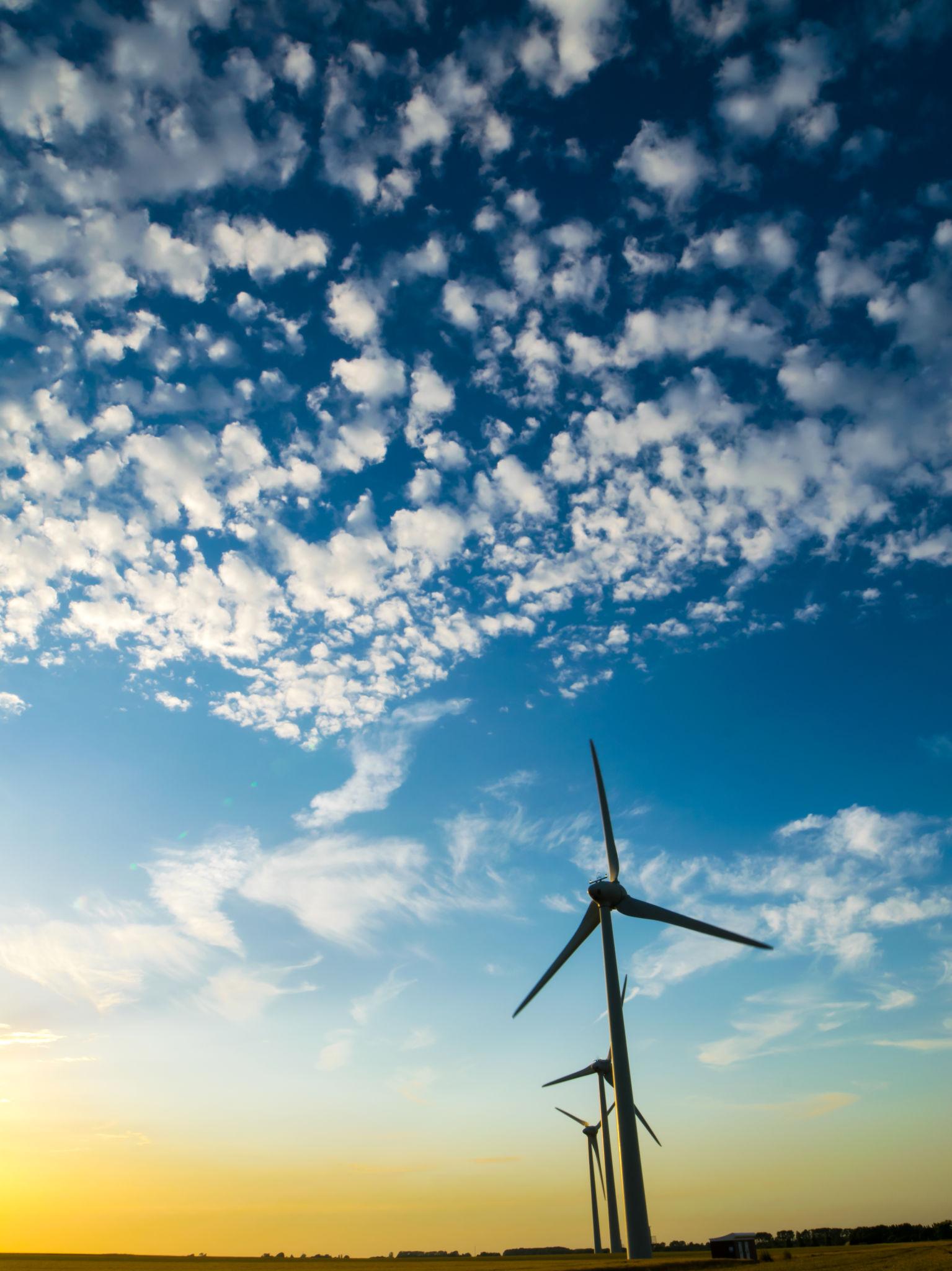 Which Companies Are Leading Renewable Energy Development In The UK?